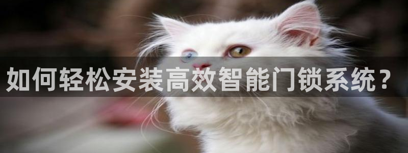 开丰娱乐违法吗：如何轻松安装高效智能门锁系统？