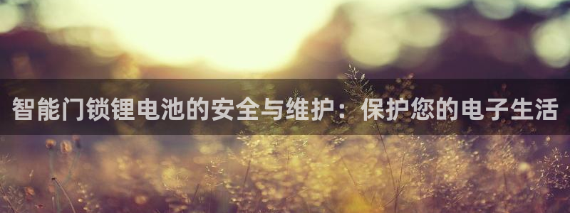 开丰娱乐官网平台网址：智能门锁锂电池的安全与维护：保护您的电