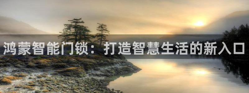 开丰娱乐平台官网网址：鸿蒙智能门锁：打造智慧生活的新入口