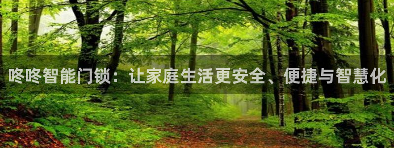 开丰娱乐注册自判官333OO：咚咚智能门锁：让家庭生活更安全