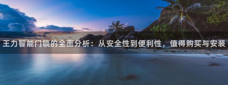 开丰娱乐平台注册地址：王力智能门锁的全面分析：从安全性到便利