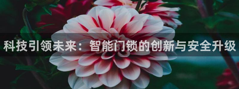 开丰娱乐下7O667：科技引领未来：智能门锁的创新与安全升级