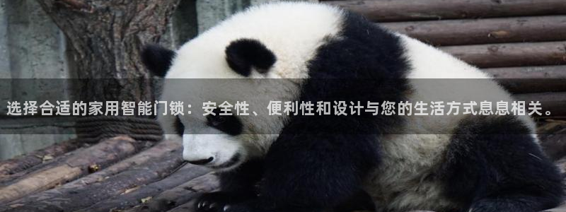 开丰娱乐平台地址查询