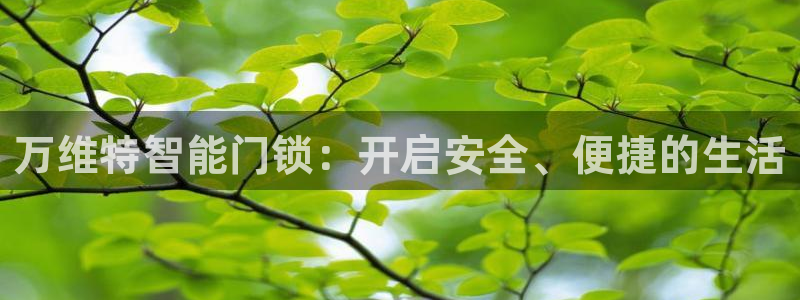开丰娱乐登入地址在哪