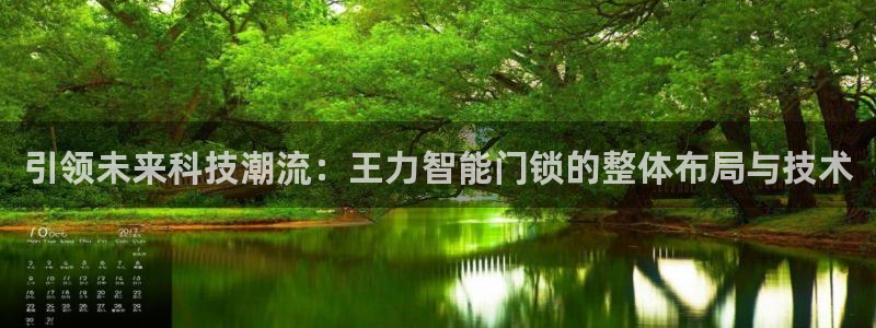 开丰娱乐天富娱乐：引领未来科技潮流：王力智能门锁的整体布局与