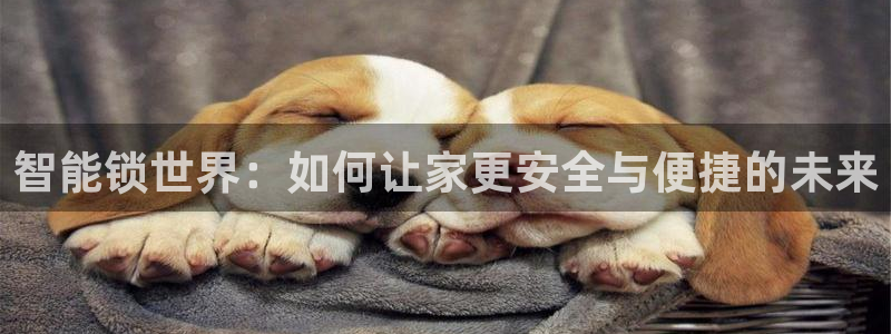 如何注册开丰娱乐账号：智能锁世界：如何让家更安全与便捷的未来