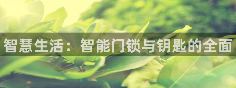 开丰娱乐登录地址入口：智慧生活：智能门锁与钥匙的全面