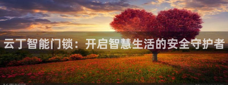 开丰娱乐网站官网下载：云丁智能门锁：开启智慧生活的安全守护者