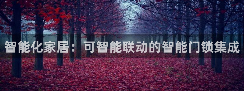 开丰娱乐予 7O935：智能化家居：可智能联动的智能门锁集成