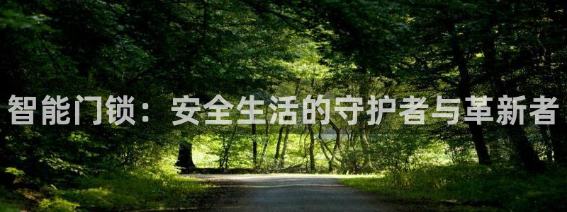 开丰娱乐日：智能门锁：安全生活的守护者与革新者
