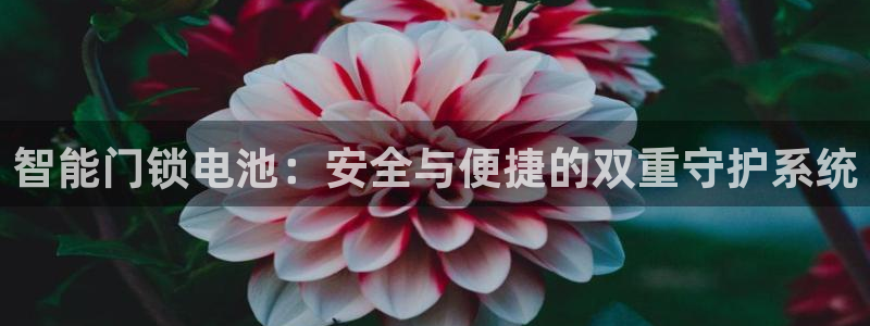 开丰娱乐平台地址在哪里：智能门锁电池：安全与便捷的双重守护系