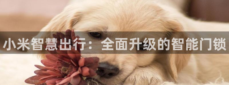 开丰娱乐天7O667：小米智慧出行：全面升级的智能门锁