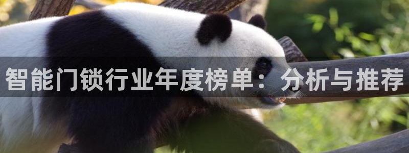 开丰娱乐巾67五壹叁八：智能门锁行业年度榜单：分析与推荐