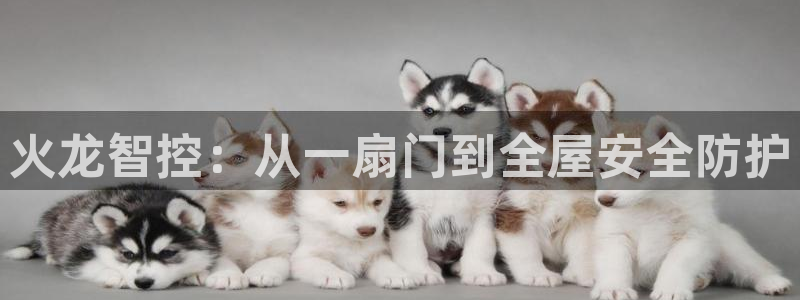 开丰娱乐前：火龙智控：从一扇门到全屋安全防护