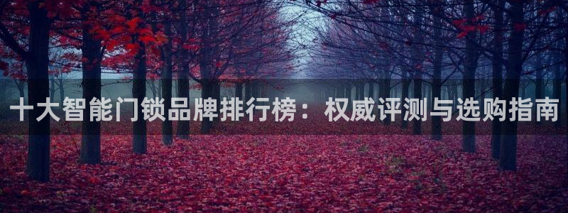 开丰娱乐地址：十大智能门锁品牌排行榜：权威评测与选购指南