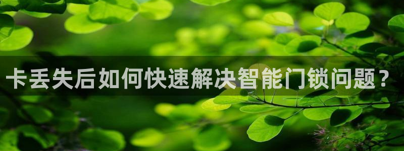 开丰娱乐登入地址：卡丢失后如何快速解决智能门锁问题？