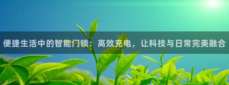 开丰娱乐平台地址：便捷生活中的智能门锁：高效充电，让科技与日