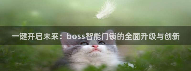 开丰娱乐67 5138：一键开启未来：boss智能门锁的全面