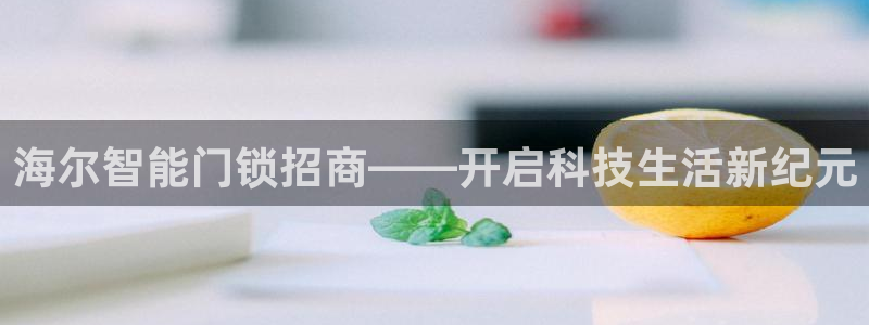 开丰娱乐网站官网首页：海尔智能门锁招商——开启科技生活新纪元