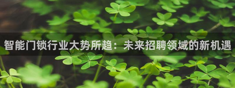 开丰娱乐官网登录平台：智能门锁行业大势所趋：未来招聘领域的新