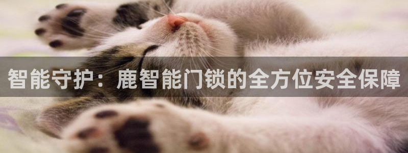 开丰娱乐上7O667：智能守护：鹿智能门锁的全方位安全保障