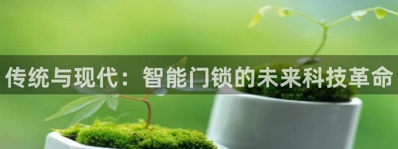 开丰娱乐天富娱乐：传统与现代：智能门锁的未来科技革命