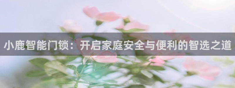 开丰娱乐主管家去判官333OO：小鹿智能门锁：开启家庭安全与