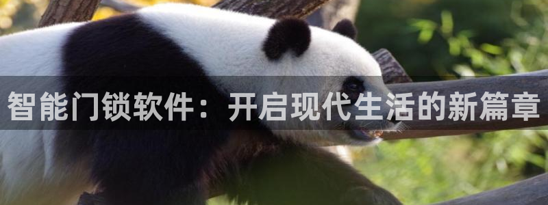 开丰娱乐平台：智能门锁软件：开启现代生活的新篇章