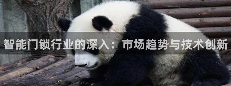 开丰娱乐趣 7O935：智能门锁行业的深入：市场趋势与技术创