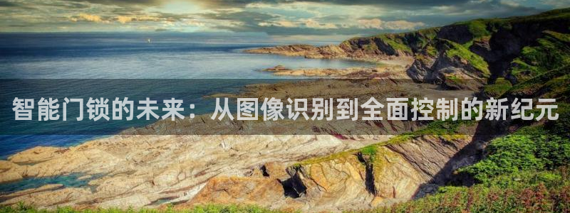 开丰娱乐于六七五一38：智能门锁的未来：从图像识别到全面控制