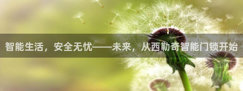 开丰娱乐主管：智能生活，安全无忧——未来，从西勒奇智能门锁开