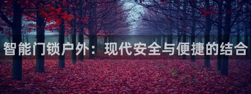 开丰娱乐登入地址是什么：智能门锁户外：现代安全与便捷的结合
