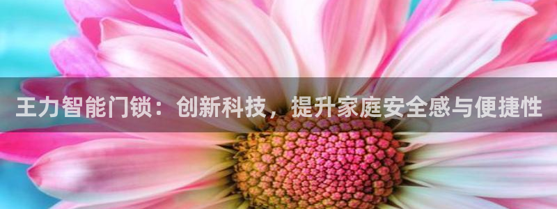 开丰娱乐优七九九47：王力智能门锁：创新科技，提升家庭安全感