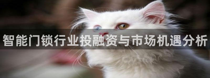 开丰娱乐官网平台：智能门锁行业投融资与市场机遇分析