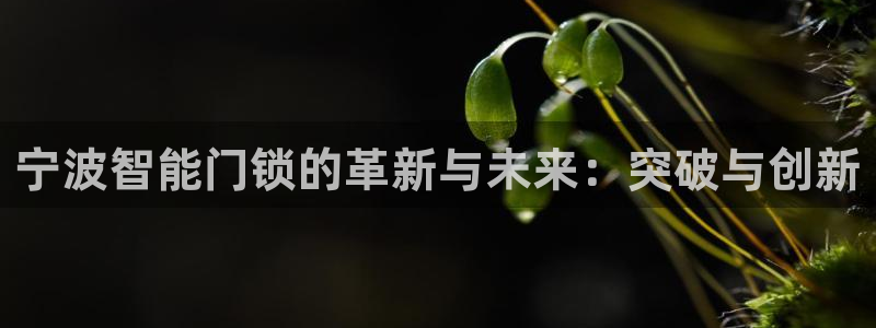 开丰娱乐千67五壹叁八：宁波智能门锁的革新与未来：突破与创新
