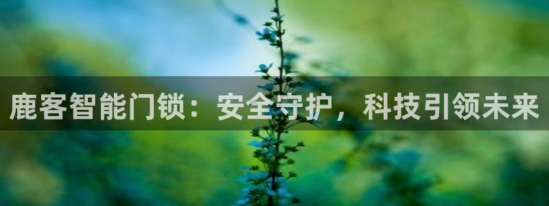 如何注册开丰娱乐账号：鹿客智能门锁：安全守护，科技引领未来