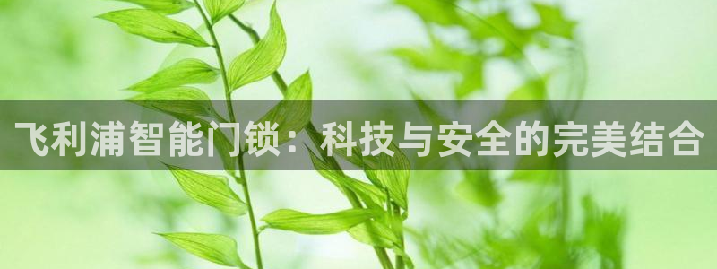 开丰娱乐注册系究耍333OO：飞利浦智能门锁：科技与安全的完