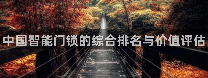 开丰娱乐测速：中国智能门锁的综合排名与价值评估