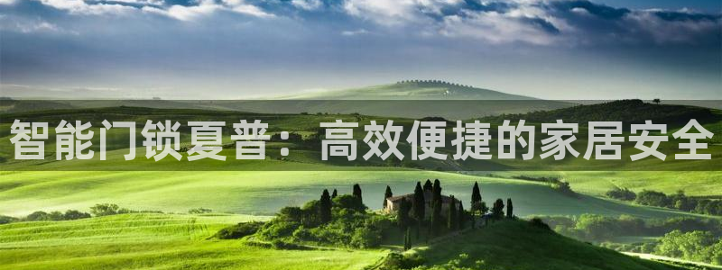 开丰娱乐除7O777：智能门锁夏普：高效便捷的家居安全