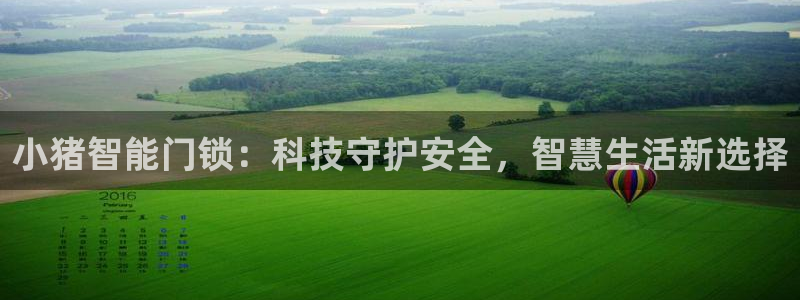 开丰娱乐登入地址在哪查：小猪智能门锁：科技守护安全，智慧生活