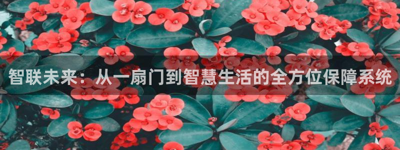 开丰娱乐登入地址是什么：智联未来：从一扇门到智慧生活的全方位
