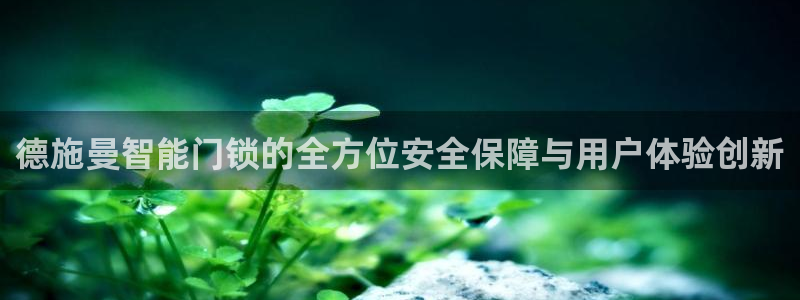 开丰娱乐除7O777：德施曼智能门锁的全方位安全保障与用户体