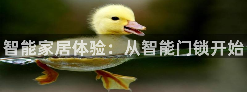 开丰娱乐官网首页：智能家居体验：从智能门锁开始