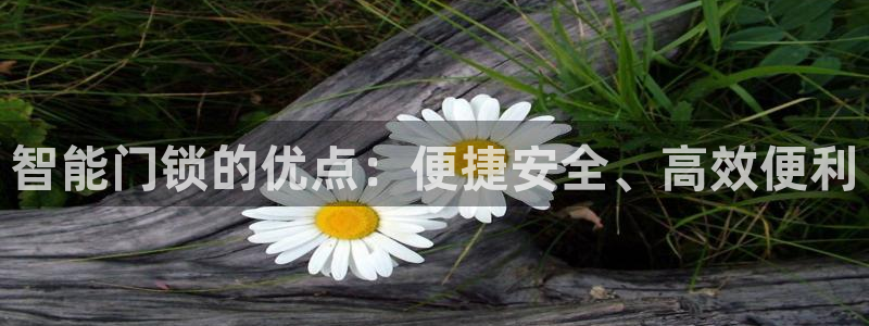 开丰娱乐登录平台：智能门锁的优点：便捷安全、高效便利