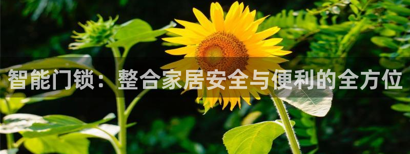 开丰娱乐平台官网登录：智能门锁：整合家居安全与便利的全方位