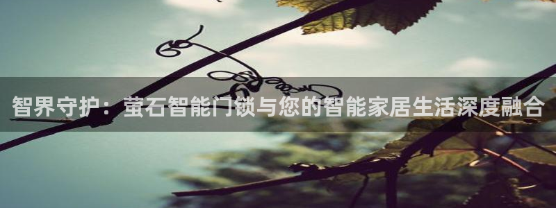 开丰娱乐月7O667：智界守护：萤石智能门锁与您的智能家居生