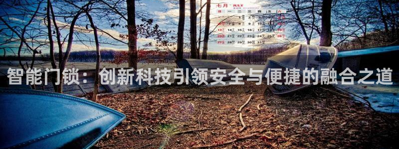 开丰娱乐网站官网下载：智能门锁：创新科技引领安全与便捷的融合