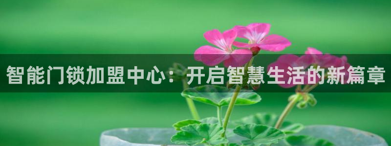 开丰娱乐不开了吗：智能门锁加盟中心：开启智慧生活的新篇章