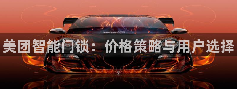 开丰娱乐后：美团智能门锁：价格策略与用户选择