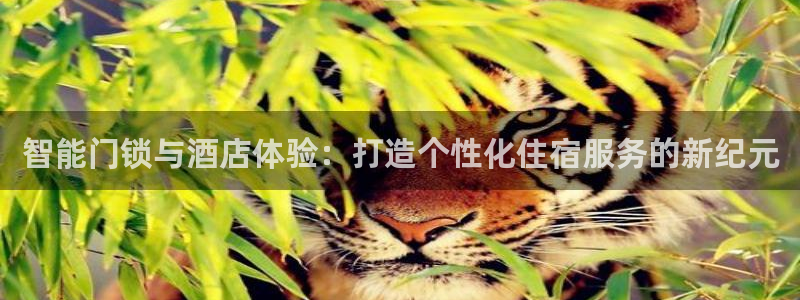 开丰娱乐平台注册地址：智能门锁与酒店体验：打造个性化住宿服务